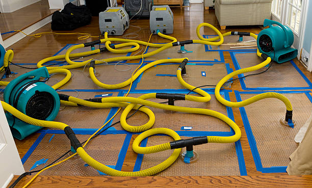 Professional Storm Water Damage Restoration technician working in Red Wing, MN